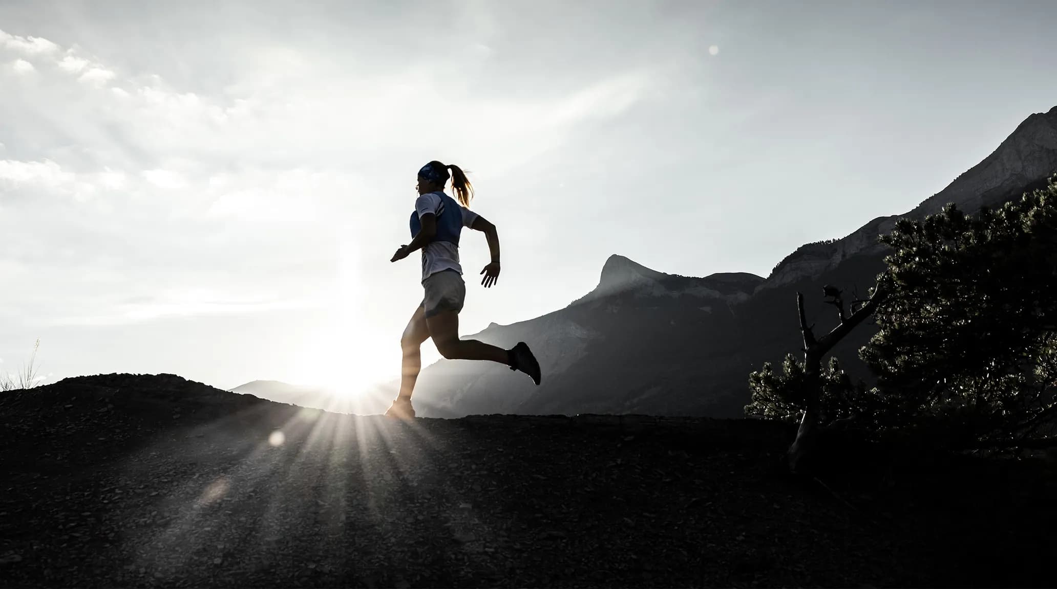 Cover Image for Trailrunning Schuhe: Wie findest du die richtigen Schuhe für deine Läufe